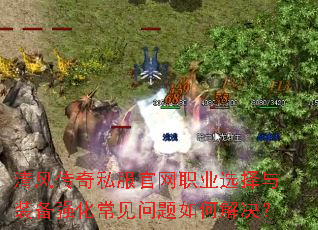 ��紫��˽������ְҵѡ����װ��ǿ������������ν����