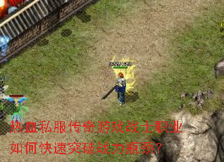 ��Ѫ˽��������Ϸսʿְҵ��ο���ͻ��ս��ƿ����