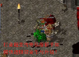 ��𳬱䴫��˽��������ο���׬ȡ�����������