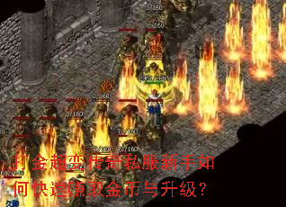 ��𳬱䴫��˽��������ο���׬ȡ�����������