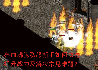 ��Ѫ����˽��������ο�������ս��������������⣿