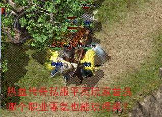 ��Ѫ����˽��ƽ�������ѡ�ĸ�ְҵ���Ҳ�����ˬ��