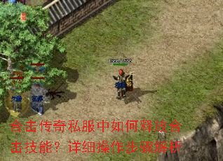 �ϻ�����˽��������ͷźϻ����ܣ���ϸ�����������