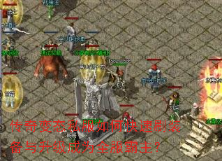 �����̬˽����ο���ˢװ����������Ϊȫ��������