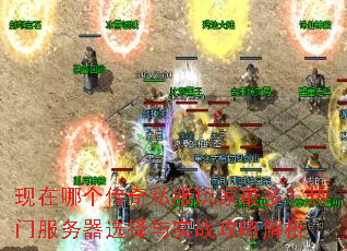 �����ĸ�����˽�������ࣿ���ŷ�����ѡ����ʵս���Խ���