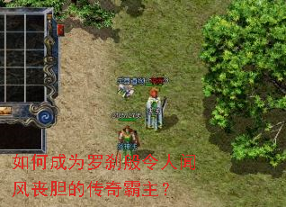 ��γ�Ϊ��ɲ�������ŷ�ɥ���Ĵ��������