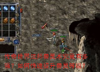 �������編ʦ�����������ж�ǿ����ο�����������ȼ���