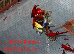 �����սħ����������ȡ�߶�װ����