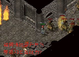 ��ο���������ɫ�ȼ���װ��ս����