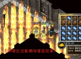 ��ʦ��Щ����ӵ������Ч����