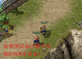 ��β����Լ��ܷ����SYN��ˮ������