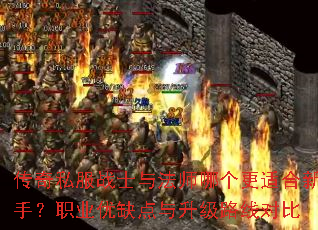 ����˽��սʿ�뷨ʦ�ĸ����ʺ����֣�ְҵ��ȱ��������·�߶Ա�