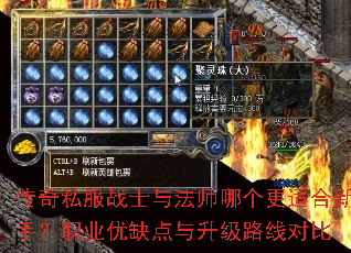 ����˽��սʿ�뷨ʦ�ĸ����ʺ����֣�ְҵ��ȱ��������·�߶Ա�