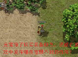 Ԫ�����˹���װ����ɫ����������Ϸ�з�����Щ���벻�������ã�