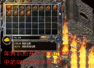 ���ʶ�𲢷������������е�GMȨ�޽ű����ţ�