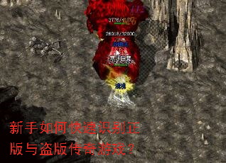 ������ο���ʶ����������洫����Ϸ��