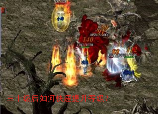 ��ʮ������ο��������ȼ���