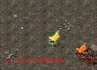 ��ʮ������ο��������ȼ���