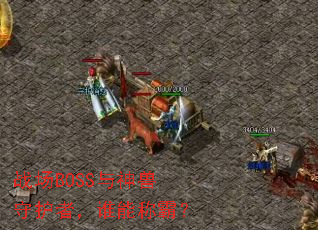 ս��BOSS�������ػ��ߣ�˭�ܳưԣ�