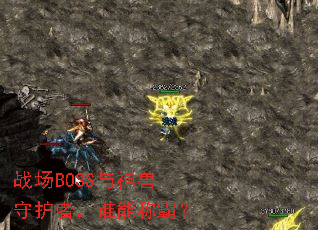 ս��BOSS�������ػ��ߣ�˭�ܳưԣ�