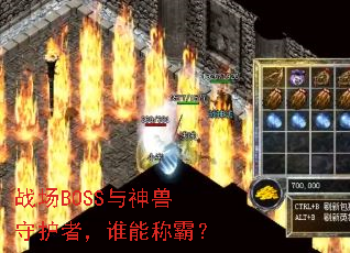 ս��BOSS�������ػ��ߣ�˭�ܳưԣ�