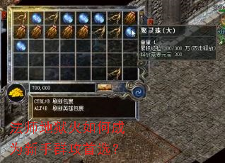 ��ʦ��������γ�Ϊ����Ⱥ����ѡ��