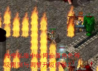 ����˽����������ý�ɫ�ȼ�����������������飿