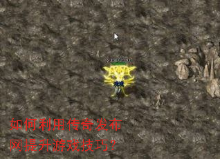 ������ô��淢����������Ϸ���ɣ�