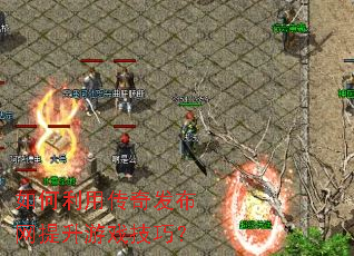 ������ô��淢����������Ϸ���ɣ�