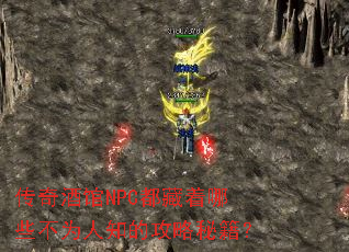 ����ƹ�NPC��������Щ��Ϊ��֪�Ĺ����ؼ���