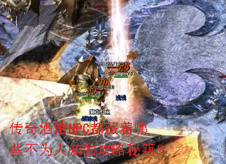 ����ƹ�NPC��������Щ��Ϊ��֪�Ĺ����ؼ���