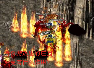 ������Ϸ���ׯ԰������ʲô���ã�