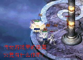 ������Ϸ���ׯ԰������ʲô���ã�