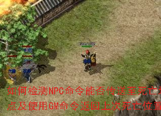 ��μ��NPC�����ܷ����������ص㼰ʹ��GM������ϴ�����λ�ã�