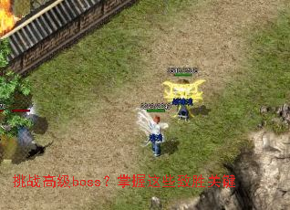 ��ս�߼�boss��������Щ��ʤ�ؼ�