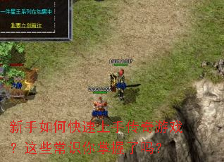 ������ο������ִ�����Ϸ����Щ��ʶ����������