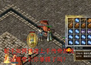 ������ο������ִ�����Ϸ����Щ��ʶ����������