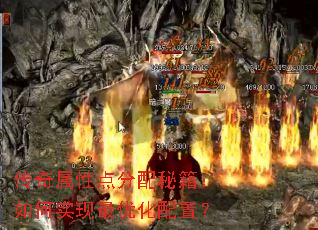 �������Ե�����ؼ������ʵ�����Ż����ã�