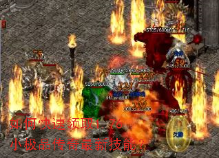 ��ο�����ȡ1.76С��Ʒ�������¼��ܣ�