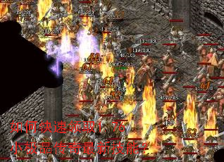 ��ο�����ȡ1.76С��Ʒ�������¼��ܣ�