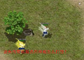 ��ʧ����˽�����������ô��֣�