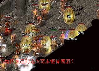 ��ο��ٵ��ﴫ�������ħ����