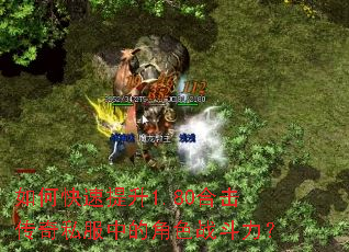 ��ο�������1.80�ϻ�����˽���еĽ�ɫս������