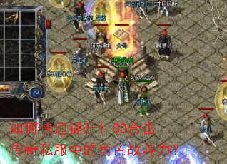 ��ο�������1.80�ϻ�����˽���еĽ�ɫս������