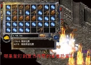 �����ܴ򵽸��Ŵ��������ѫ�£�