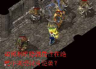 ����������������ھ�����ʵ��ս����Ϯ��