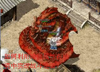 ����������������ھ�����ʵ��ս����Ϯ��