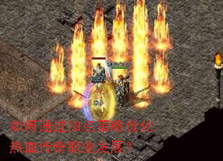 ���ͨ���ӵ�����Ż���Ѫ����ְҵ��չ��