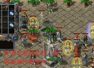 ʧ������ҽ�֯������ƽ⴫���Թ���