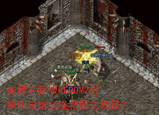 ������°�HEROM2�������Զ������ͼ�Ľ̳̣�